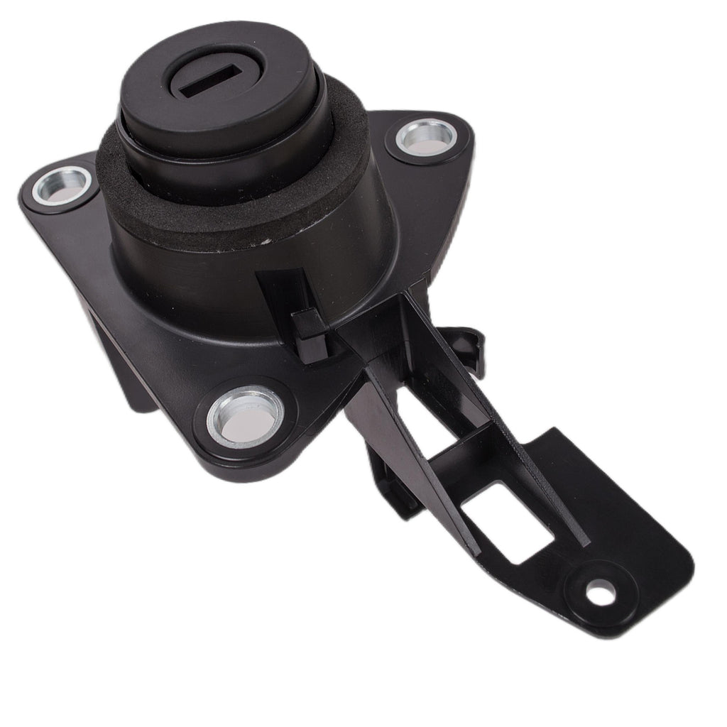 Broască haion pentru DACIA Duster 2010 – 905026966R