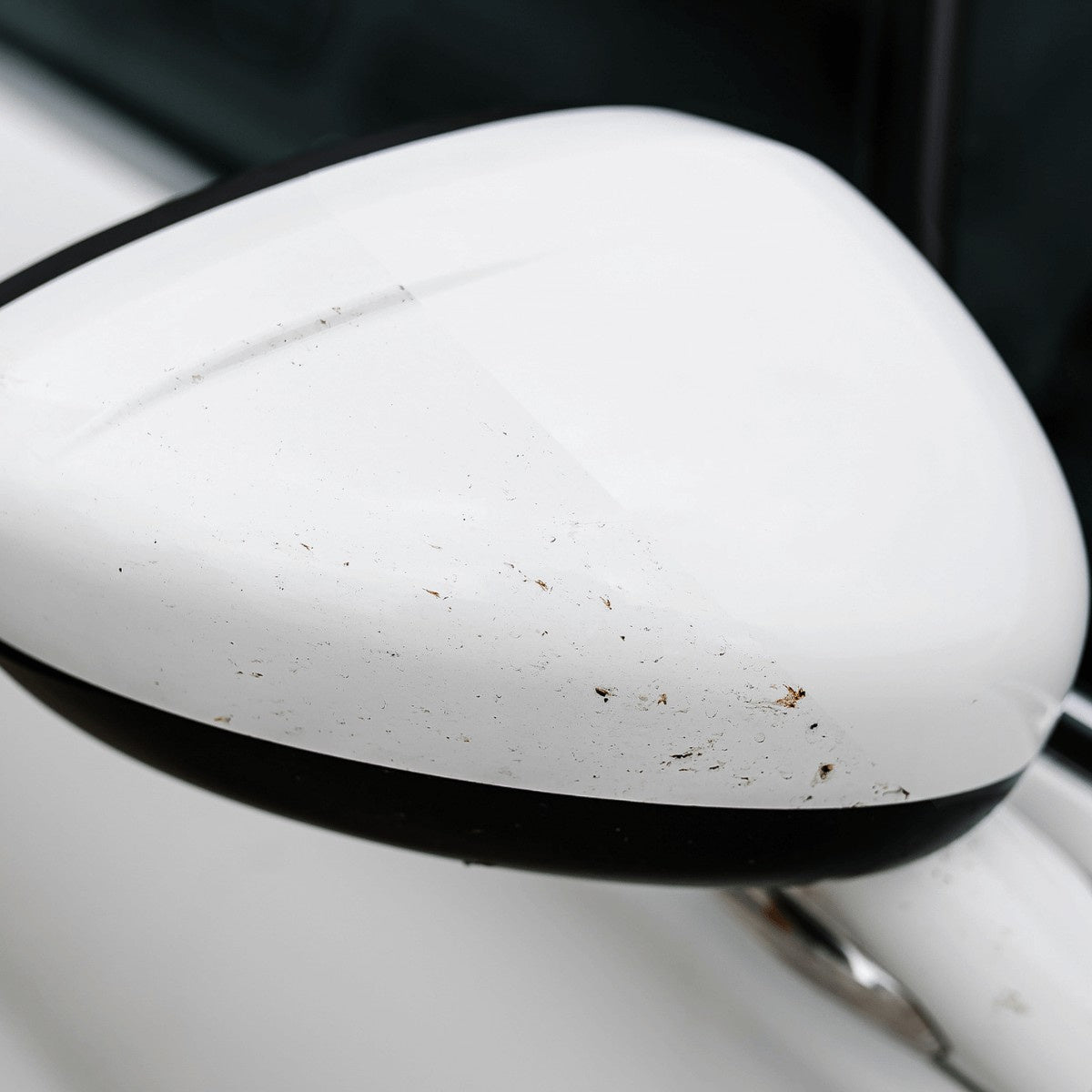 Препарат за премахване на насекоми NUTA PRO ANTI-INSECT